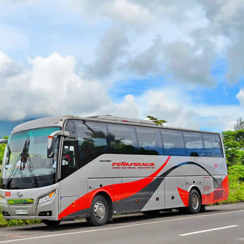 Luxury Coach